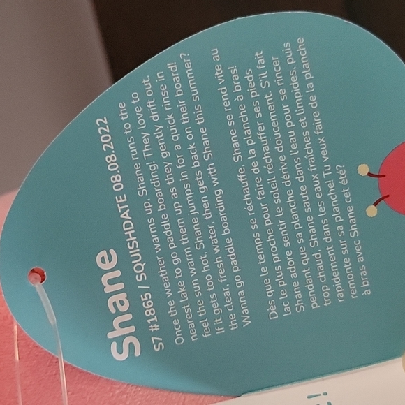 🔥Rare! Shane the Grasshoper Squishmallow - Picture 3 of 4